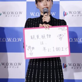 『連続ドラマＷ シャドウワーク』