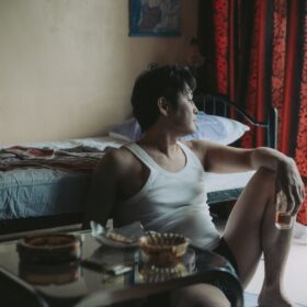 『架空の犬と嘘をつく猫』