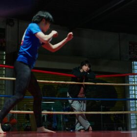 『ナイトフラワー』