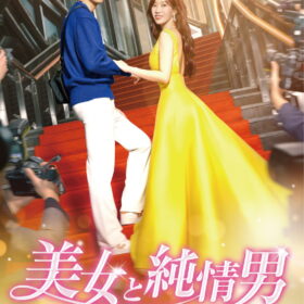 『美女と純情男』DVD-BOX