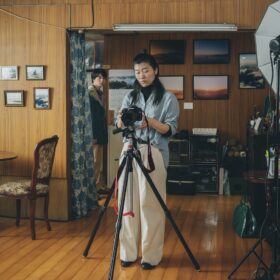 『架空の犬と嘘をつく猫』