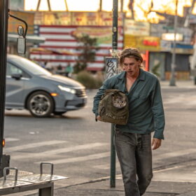 『コート・スティーリング』