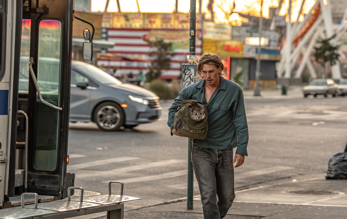 『コート・スティーリング』