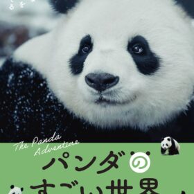 『パンダのすごい世界』