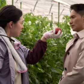 『正直不動産』