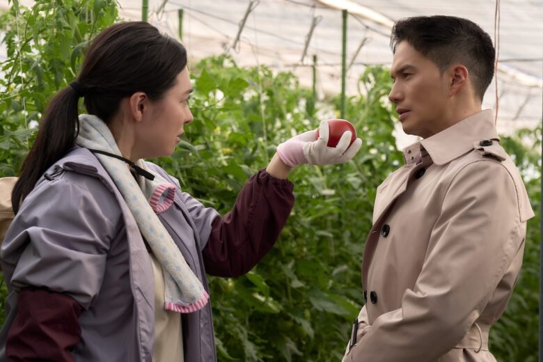 『正直不動産』