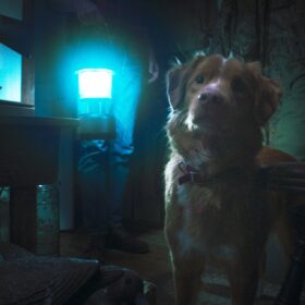 『GOOD BOY／グッド・ボーイ』