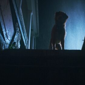 『GOOD BOY／グッド・ボーイ』