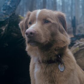 『GOOD BOY／グッド・ボーイ』