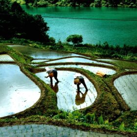 地産地消100％の学校給食──有機農業の現場に迫るドキュメンタリー『身土不二』公開決定