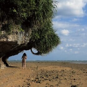 『ゆっくり あるく　川村浪子、84歳のダンス』