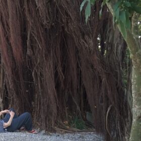 『ゆっくり あるく　川村浪子、84歳のダンス』
