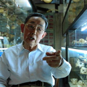 『GUN FISH あなたの知らないフグの世界』