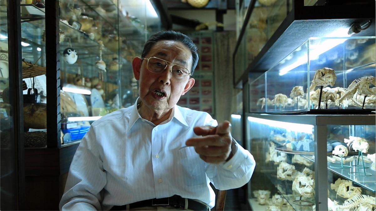 『GUN FISH あなたの知らないフグの世界』