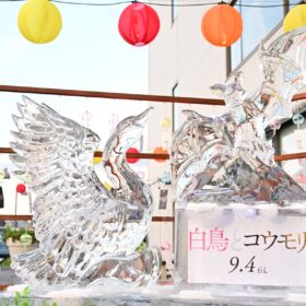 『白鳥とコウモリ』